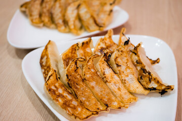 Japanese pan fried meat dumpling