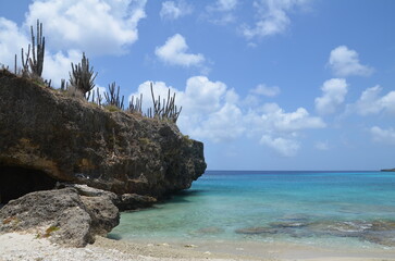 rock with plants at the white and sandy carribean beach with turquoise water