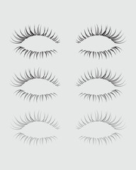 Eyelashes set on white background, vector illustration, eyelash, lash, vector, false, eye, isolated, illustration, mascara, beauty, girl, salon