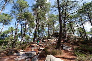 Hiking in the 25 bumps circuit in Fontainebleau forest