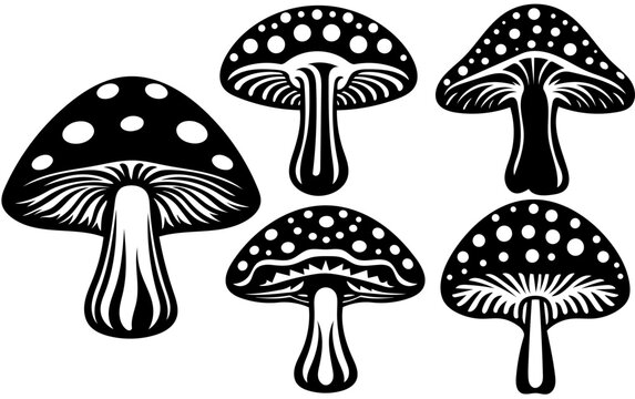 Simple Mushroom SVG bundle, Black mushrooms silhouette clipart, Printable vector images, Laser cut file, PNG sublimation designs