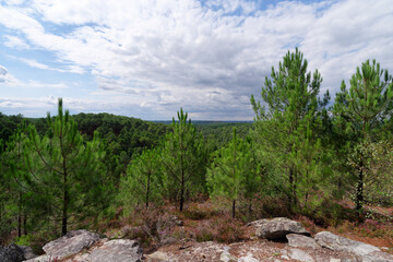 The 25 bumps circuit in Fontainebleau forest	
