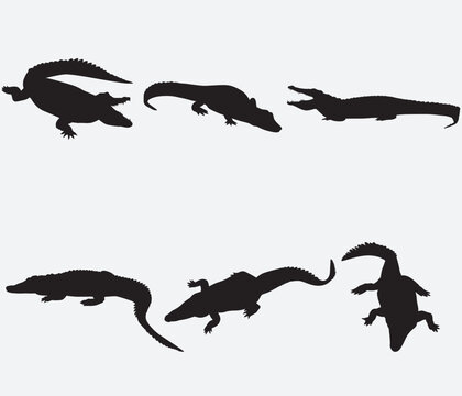 Crocodile silhouette vector illustration set.