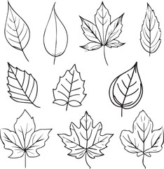 Set of autumn leaf coloring sheet, autumn falling leaf lien drawings, hand drawing leaves line art