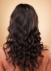Fototapeta premium Hair, woman and balayage, back with beauty and cosmetics, shampoo and salon treatment isolated on studio background. Texture, wellness and haircare, curly hairstyle and cosmetology with growth