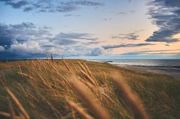 Fotobehang Noord-Europa Dunes with beach grass at the wide beach at northern Denmark. High quality photo