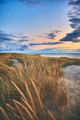 Dunes and beach grass at the wide beach at northern Denmark. High quality photo
