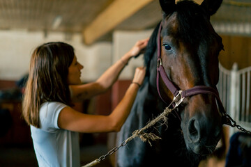Close-up of a girl stable worker combing out the mane of a black horse in a stable concept of love...