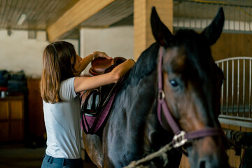 Fototapeta premium A rider puts a saddle on her black horse in the stables in preparation for the race equestrian concept 