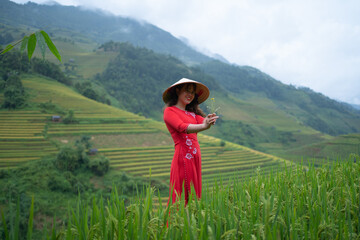 A farmer woman with fresh paddy rice terraces, green agricultural fields in countryside or rural area of Mu Cang Chai, mountain hills valley in Asia, Vietnam. Nature landscape. People lifestyle.