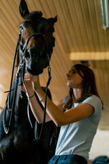 A rider puts harness on her black horse in the stables in preparation for a race equestrian concept 