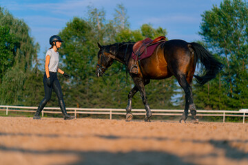 A helmeted rider leads her beautiful black horse by the harness in the riding arena during a...