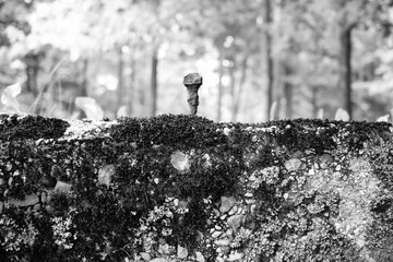 Old worn and weathered concrete foundation of an abandoned home in black and white.
