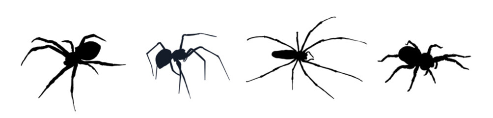 set of spider silhouettes - vector illustration - obrazy, fototapety, plakaty