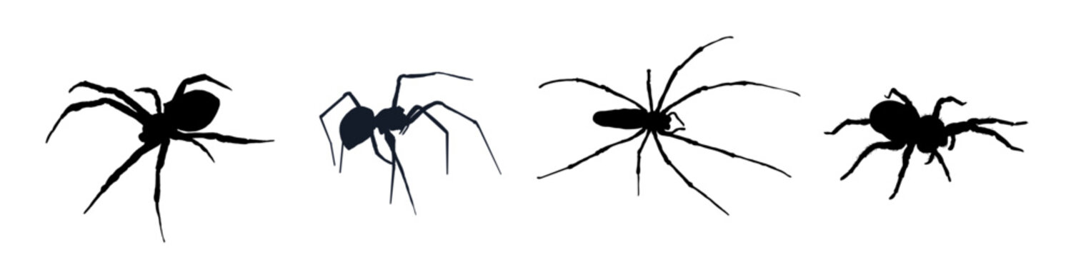 set of spider silhouettes - vector illustration
