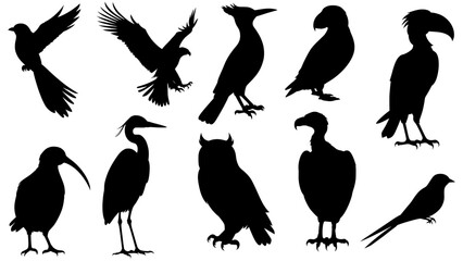 Silhouette vector set of birds