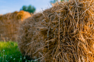 A close-up of a straw bale lying in a field near the stables. The concept of love for nature and...