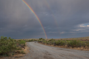  Desert Rainbows