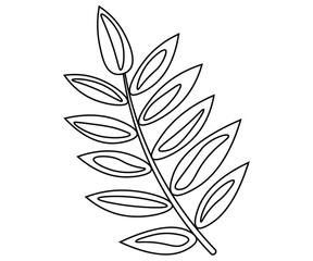 leaf 3