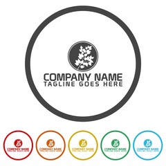 Obraz premium Tree branch logo template. Set icons in color circle buttons