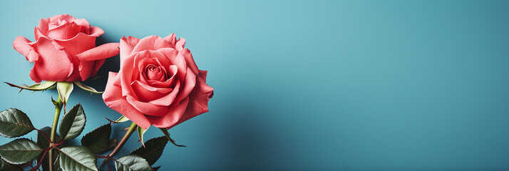 Schöne rosa Rose mit wunderbaren Hintergrund im Querformat als Banner, ai generativ