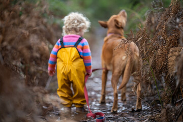 Naklejka premium baby waling a dog on a lead in the wild forest together walking in a park in australia