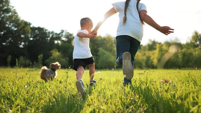 Happy children in park on green grass run and play with pet dog.Toddlers children play with dog in summer in park on lawn.dream love to pet dog. Fun games in park in summer in nature.Kid dream concept