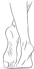 Beautiful female feet. Hand drawn of realistic human feet. Healthy foot. - 641425838
