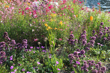 Bright flower bed in August