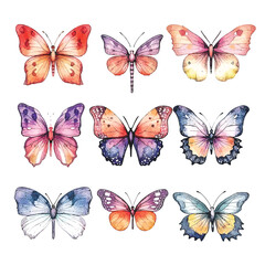 Vibrant Watercolor Butterflies: Colorful Set with White Backdrop