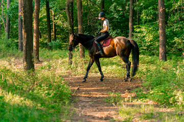 A rider dressed in a helmet rides her beautiful black horse in the forest during a horseback ride