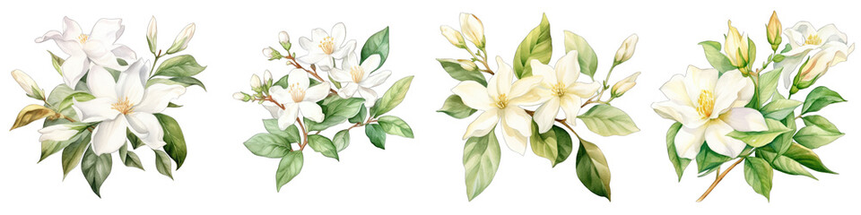 Obraz na płótnie Canvas Arabian Botanical View On A Clean White Background Soft Watercolour Transparent Background
