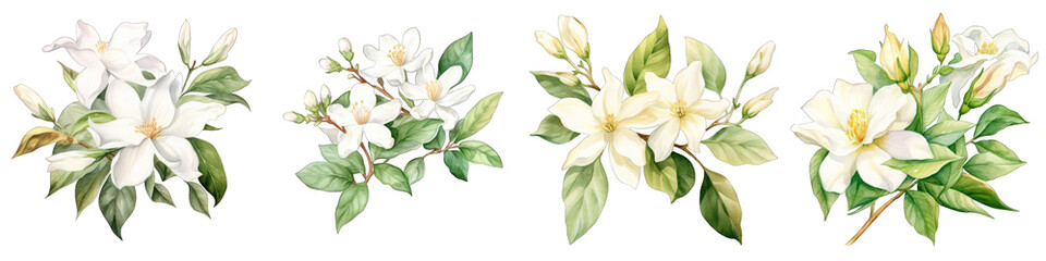 Arabian Botanical View On A Clean White Background Soft Watercolour Transparent Background