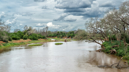 Landscape in the north part of Kruger National Park in South Africa in the green season
