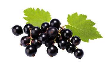 black currant isolated on transparent background