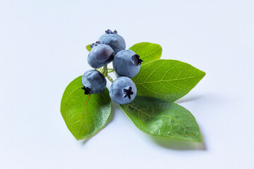 Blueberry with green leaves isolated on white background. Healthy sweet berry