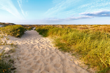 Path of sand with dunes