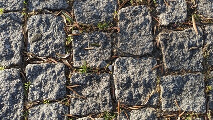 Pavement made of paving stones, granite, natural stone