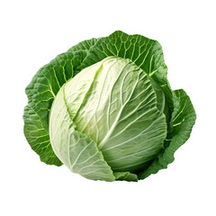 cabbage isolated on white background