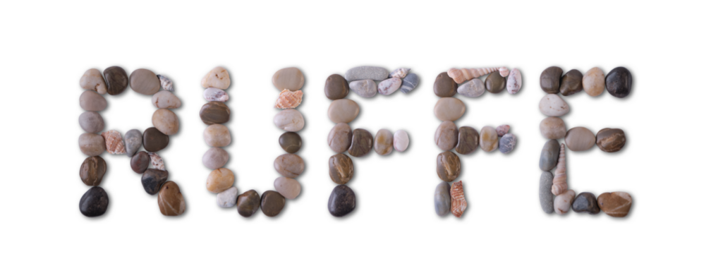 The word "RUFFE" is lined with shells and stones of different shapes and colors on a transparent background. Types of fish and seafood, price tag, sea food, fish market, sea alphabet.