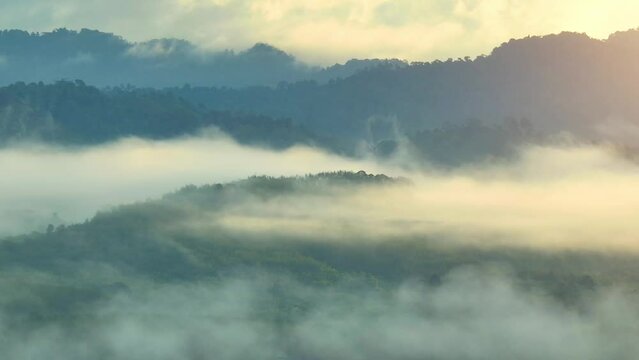 Sunrise paints the Ranong Province, Thailand tropical forest with a tranquil beauty as a delicate veil of morning fog gracefully blankets the landscape. from a drone, nature awakens in misty splendor.