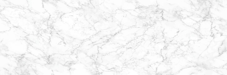 horizontal elegant white marble texture background,vector illustration.