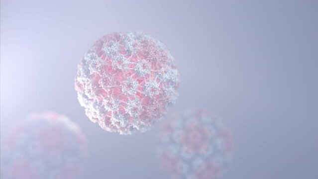 Papillomavirus biological assembly. Animation of Human papillomavirus that infects both women and men and can lead to cancer. 

