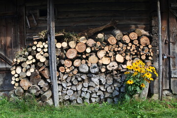 Stacked firewood against the background of an old barn. Sawn trees of varying degrees of humidity.