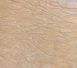Beach wet sand texture. Sandy shore beige background.