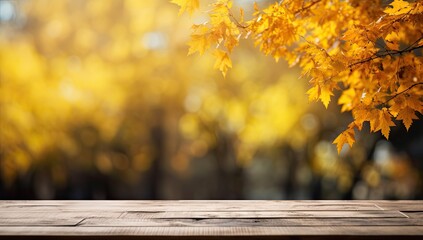 Naklejka na ściany i meble View of wooden table with yellow sutumn leaves and fall forest in the bokeh backround. 