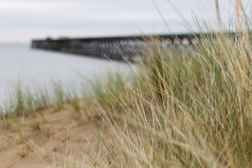 Old pier or jetty on the North Sea, with sand and long grass in the foreground