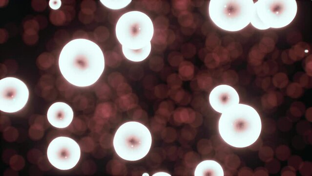 Viewing the navirus under a digital microscope