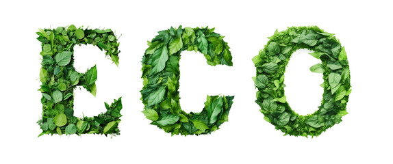 Word ECO Made of Green Leaves Isolated on White Background, Ecology Concept