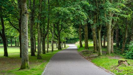 Fototapeta na wymiar Path to walk through the public park with leafy trees next to St. Machar's Cathedral, Aberdeen.